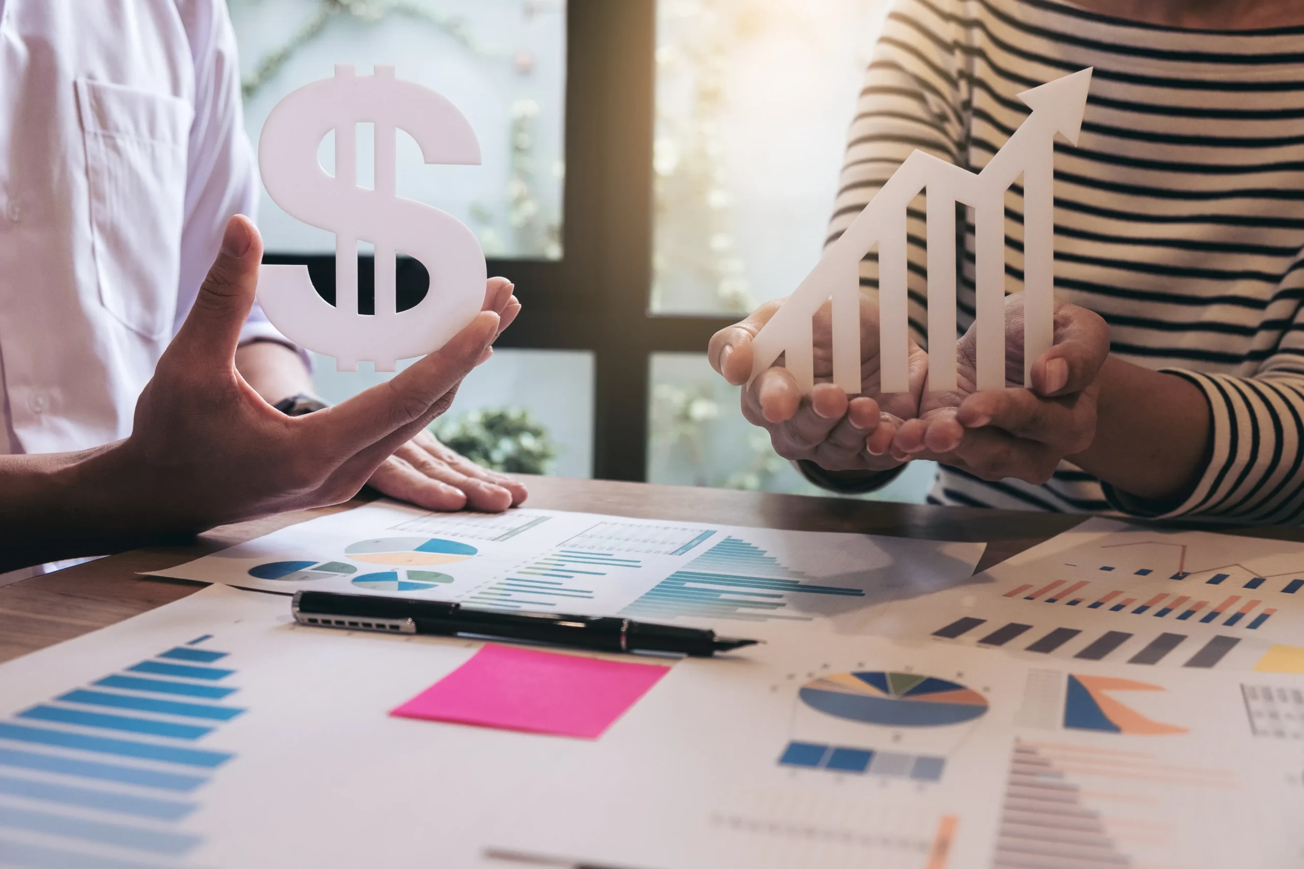 Investor-Ready Finance Function